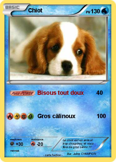 Pokemon Chiot