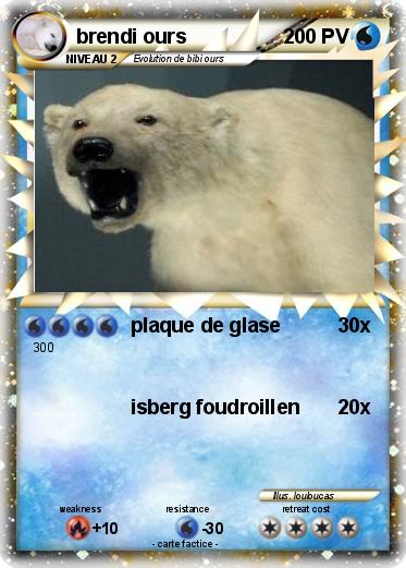 Pokemon brendi ours