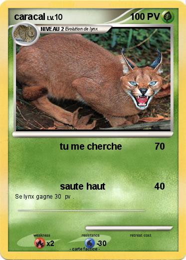 Pokemon caracal
