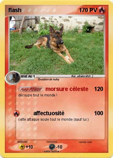 Pokemon flash