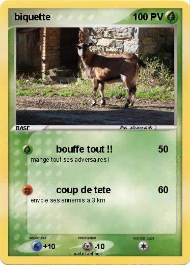 Pokemon biquette