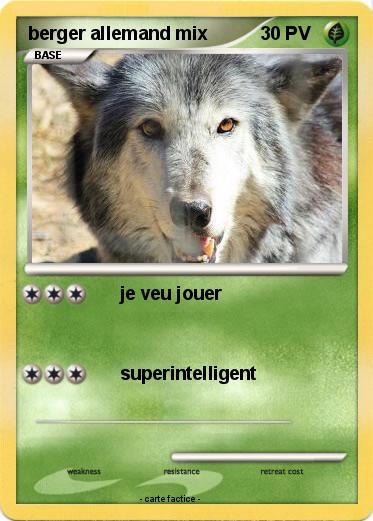 Pokemon berger allemand mix