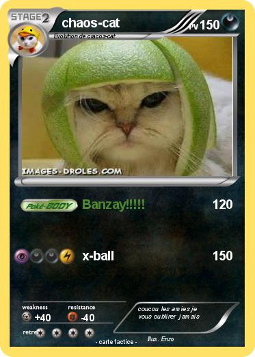 Pokemon chaos-cat