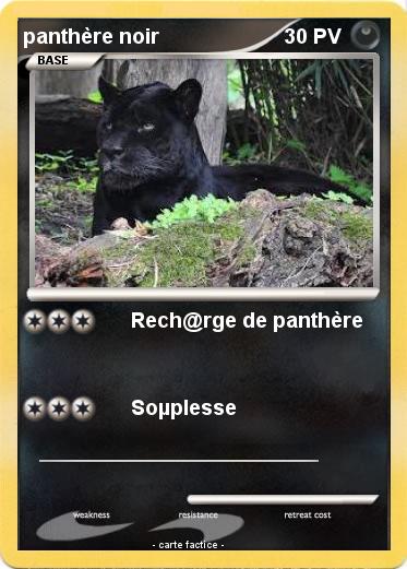 Pokemon panthère noir