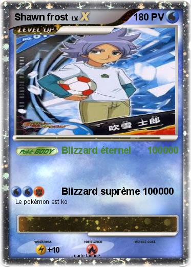 Pokemon Shawn frost