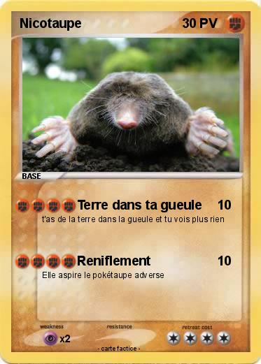 Pokemon Nicotaupe