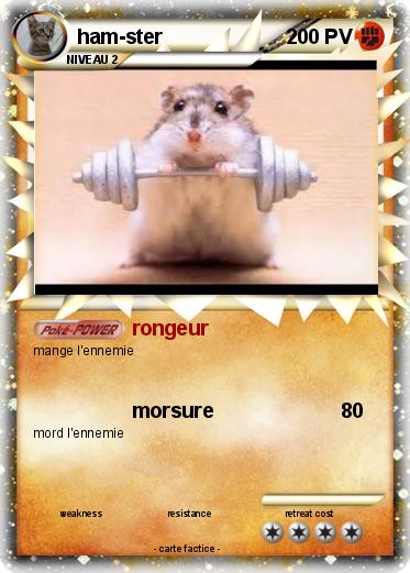 Pokemon ham-ster