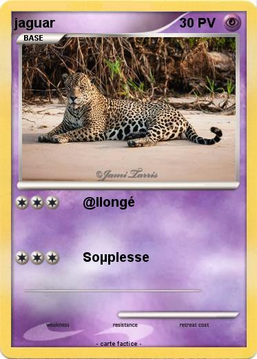 Pokemon jaguar