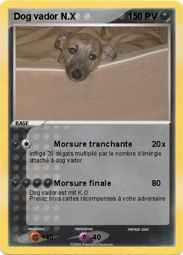 Pokemon Dog vador N.X