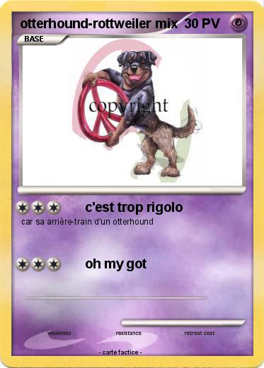 Pokemon otterhound-rottweiler mix