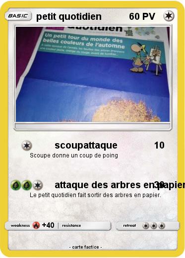 Pokemon petit quotidien