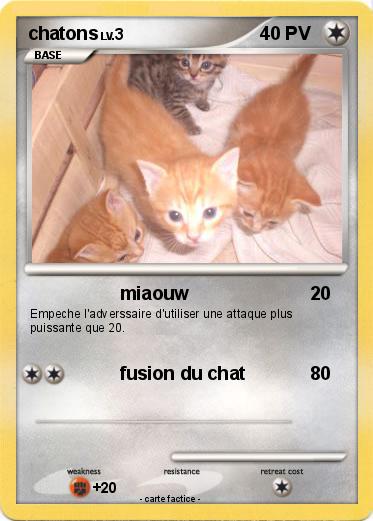 Pokemon chatons