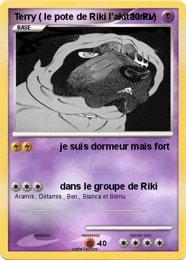 Pokemon Terry ( le pote de Riki l'akita inu )
