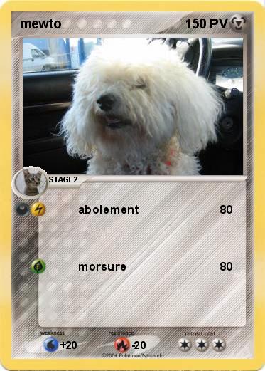 Pokemon mewto