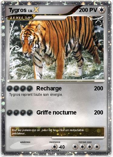 Pokemon Tygros