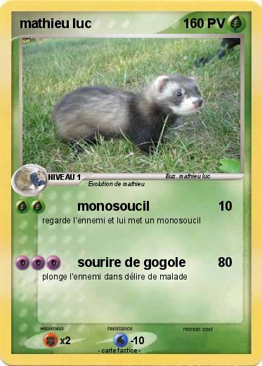 Pokemon mathieu luc