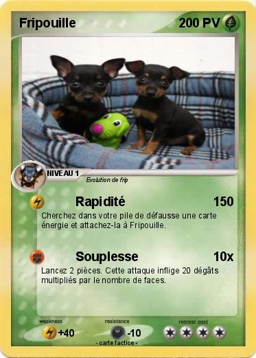 Pokemon Fripouille