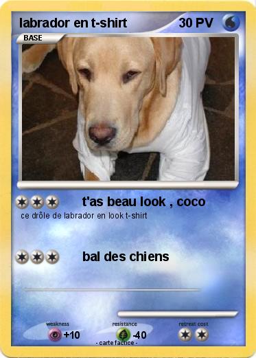 Pokemon labrador en t-shirt