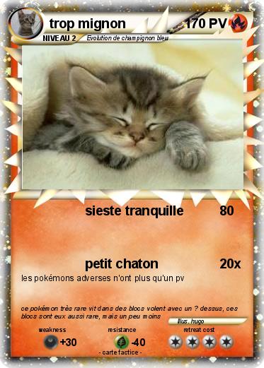 Pokemon trop mignon