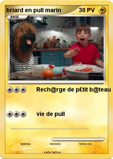 Pokemon briard en pull marin