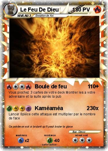 Pokemon Le Feu De Dieu         1