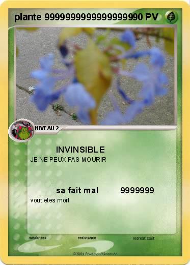 Pokemon plante 99999999999999999