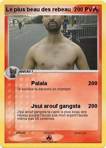 Pokemon Le plus beau des rebeau