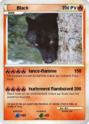 Pokemon Black
