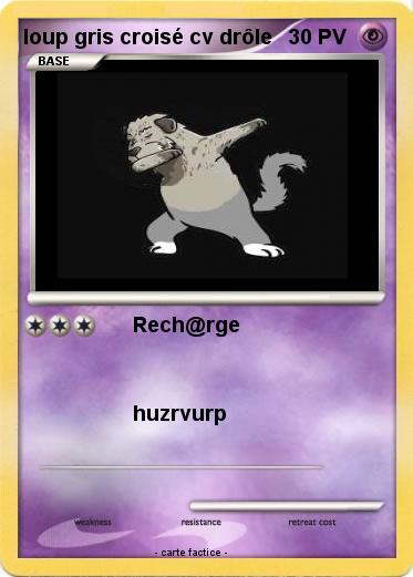 Pokemon loup gris croisé cv drôle