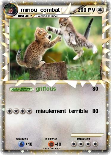 Pokemon minou  combat