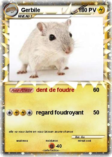 Pokemon Gerbile