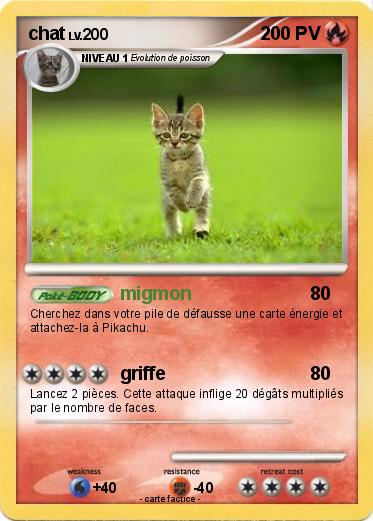 Pokemon chat