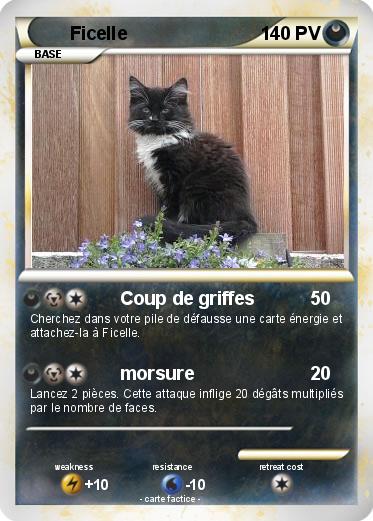 Pokemon Ficelle