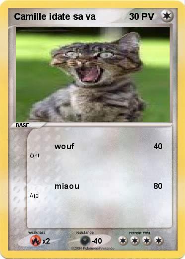 Pokemon Camille idate sa va