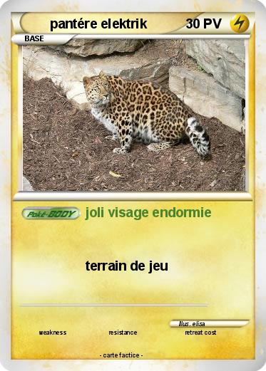 Pokemon pantére elektrik