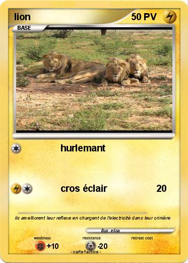Pokemon lion