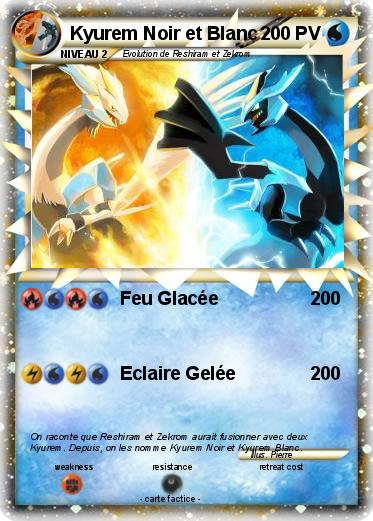 Pokemon Kyurem Noir et Blanc