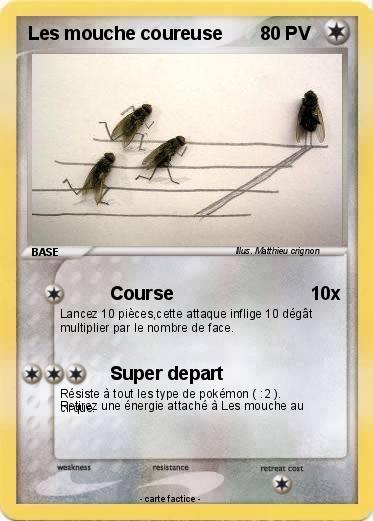 Pokemon Les mouche coureuse