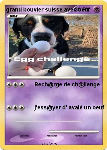 Pokemon grand bouvier suisse avec oeuf