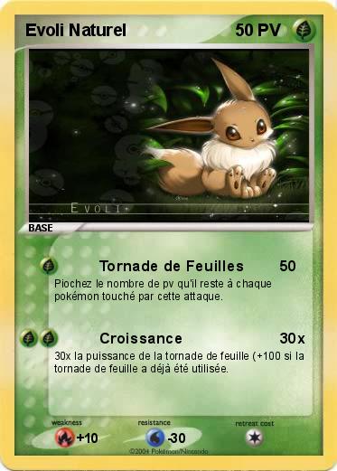 Pokemon Evoli Naturel