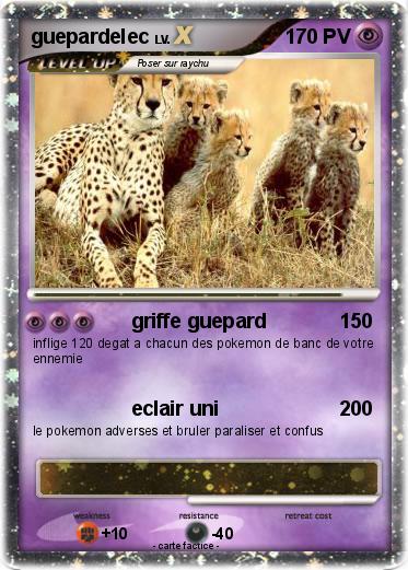 Pokemon guepardelec