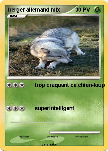 Pokemon berger allemand mix