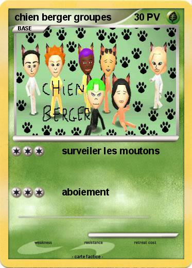 Pokemon chien berger groupes