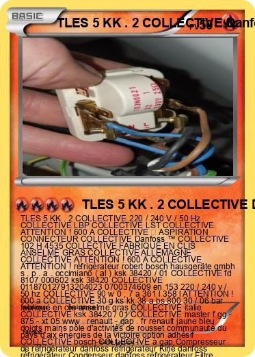 Pokemon TLES 5 KK . 2 COLLECTIVE Danfoss ™