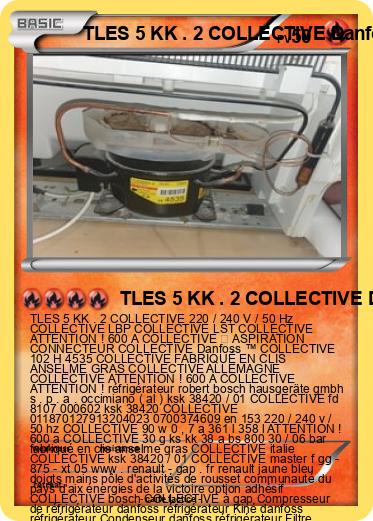 Pokemon TLES 5 KK . 2 COLLECTIVE Danfoss ™