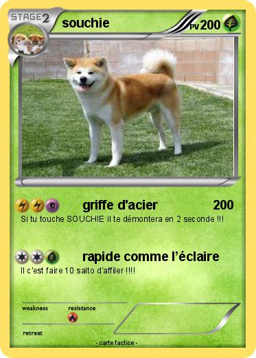 Pokemon souchie