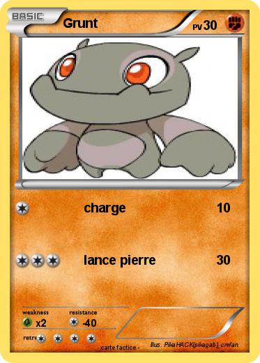 Pokemon Grunt