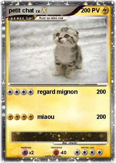 Pokemon petit chat