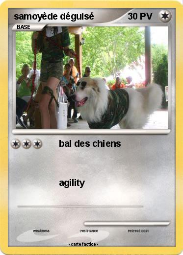 Pokemon samoyède déguisé