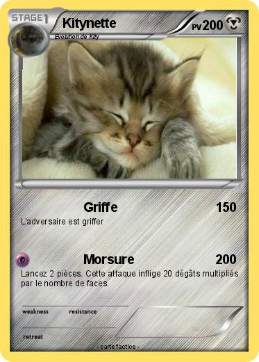 Pokemon Kitynette